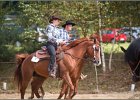 MP Stable48